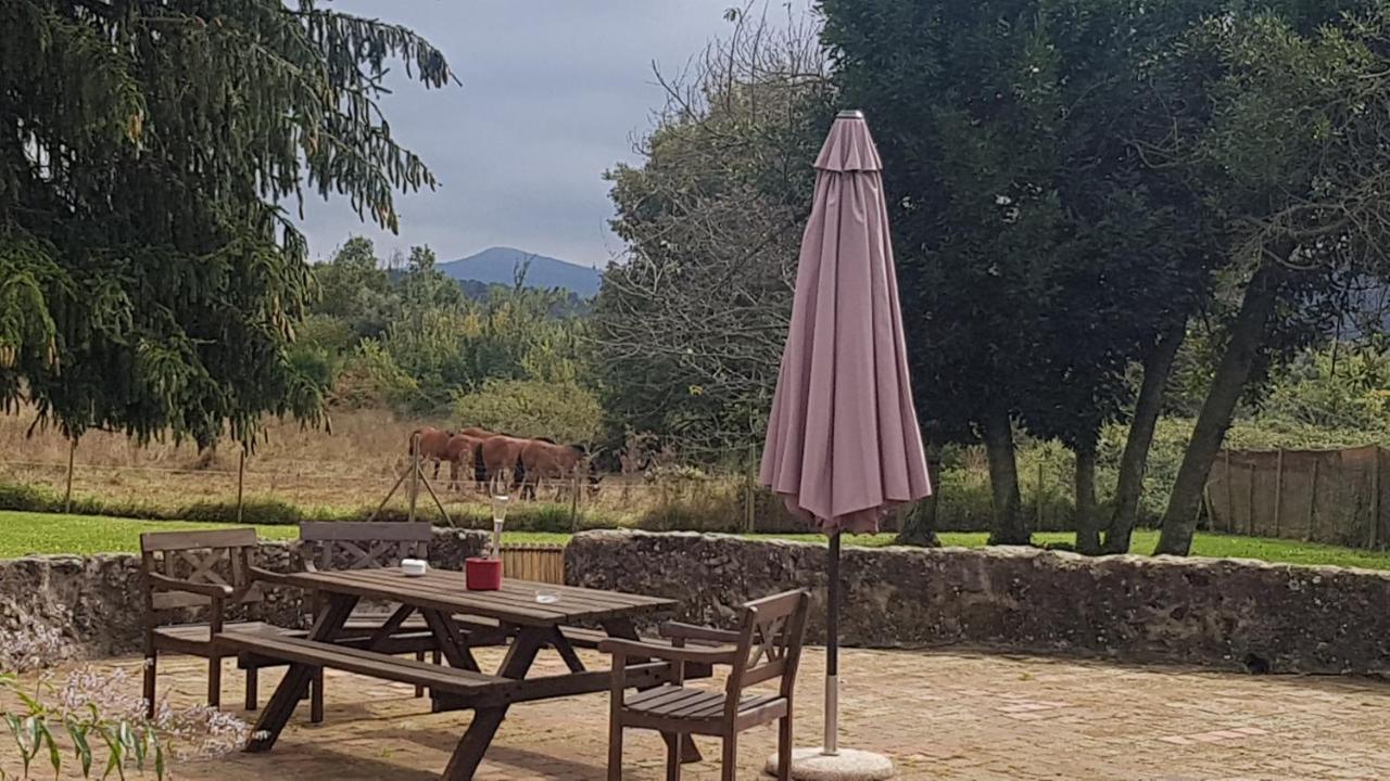 Can Janot Villa Olot Bagian luar foto