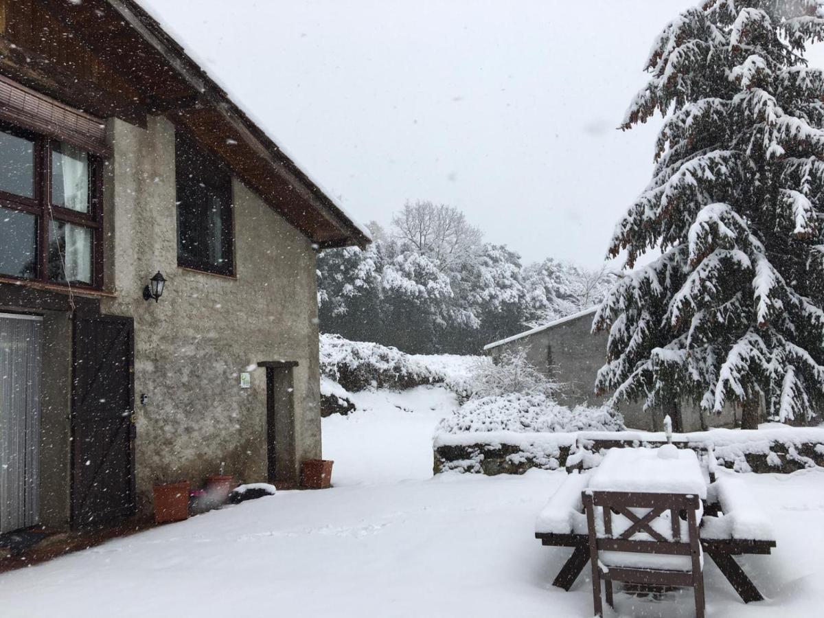 Can Janot Villa Olot Bagian luar foto