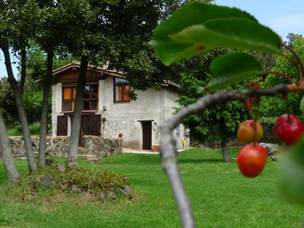 Can Janot Villa Olot Bagian luar foto