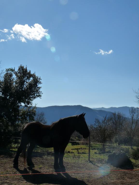 Can Janot Villa Olot Bagian luar foto