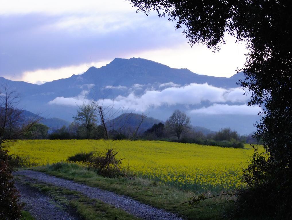 Can Janot Villa Olot Ruang foto