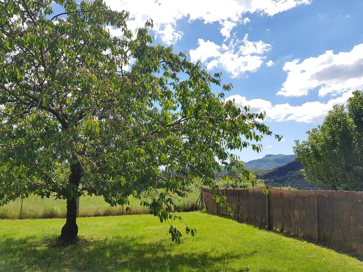 Can Janot Villa Olot Bagian luar foto